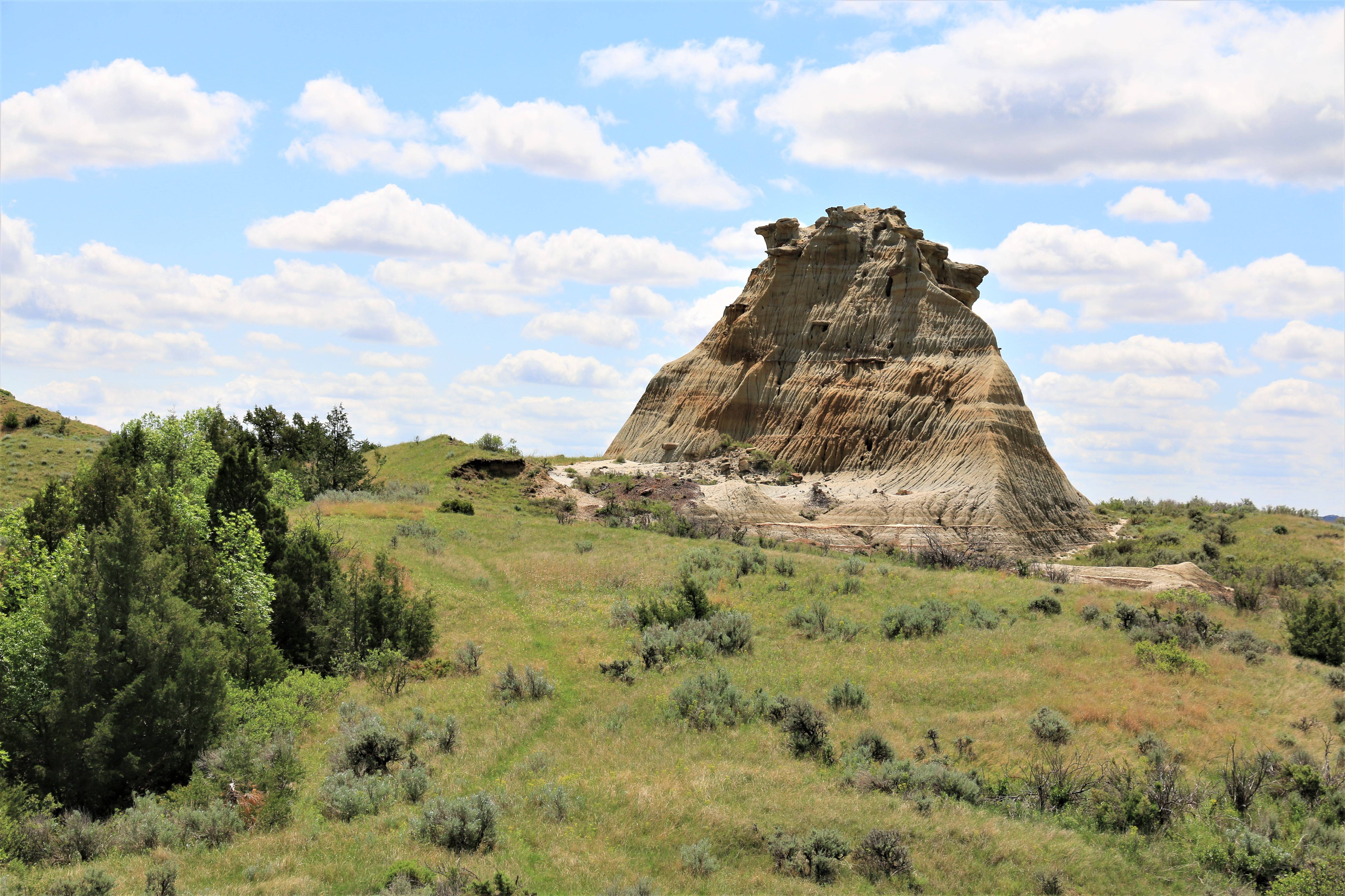 Theodore Roosevelt NP